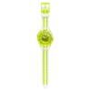 Giallo d’uovo